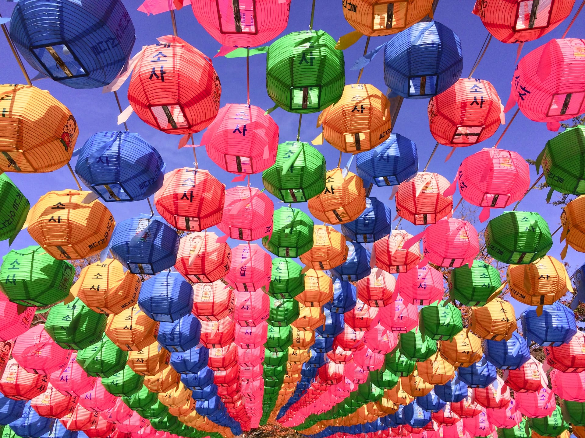 신비한 꿈 이야기 -꿈풀이